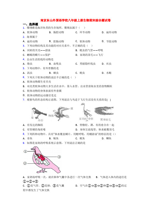 南京东山外国语学校八年级上册生物期末综合题试卷