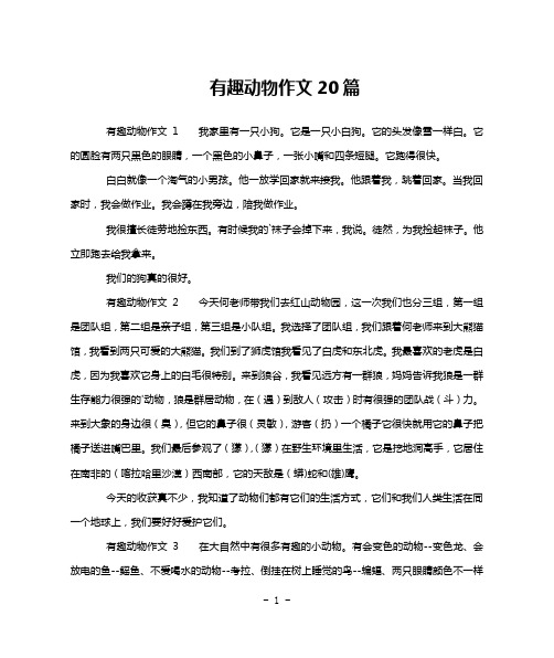 有趣动物作文20篇