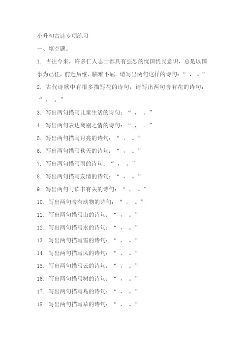 2023-2024学年统编版六年级语文下册小升初古诗专项练习(有答案)