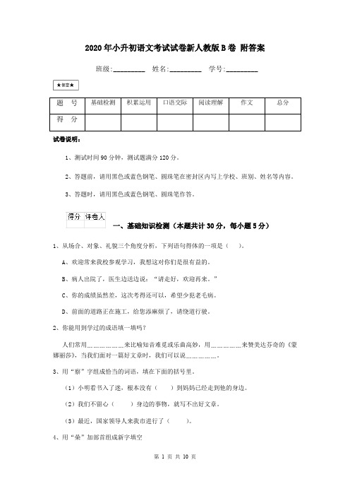 2020年小升初语文考试试卷新人教版B卷 附答案