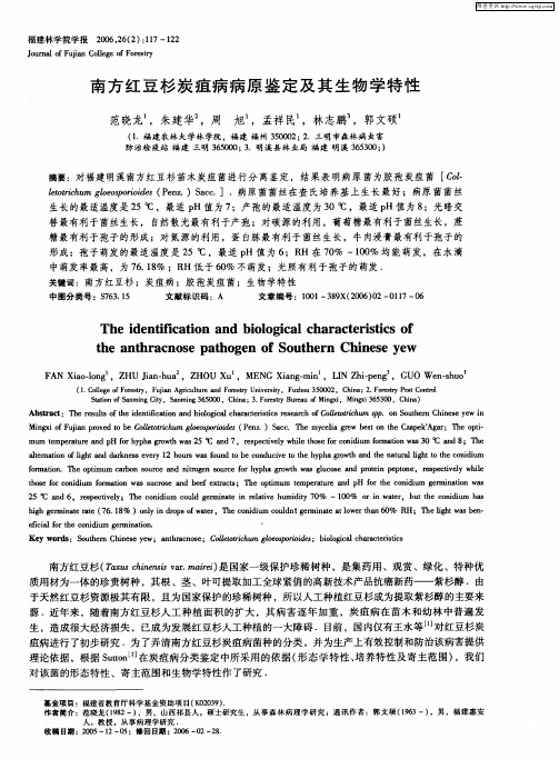 南方红豆杉炭疽病病原鉴定及其生物学特性