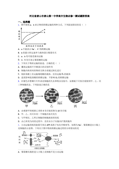 河北省唐山市唐山第一中学高中生物必修一测试题附答案