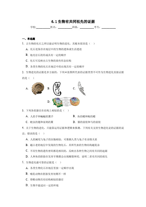 6.1生物有共同祖先的证据同步练习 人教版高中生物必修2