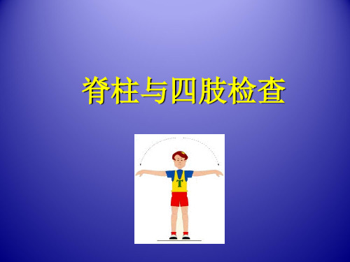 脊柱与四肢检查  PPT