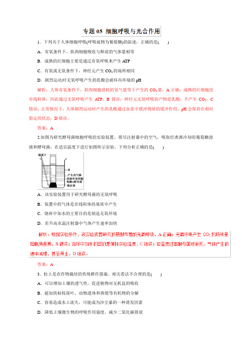 2019年高考生物专题训练：专题05-细胞呼吸与光合作用(热点难点突破,附解析)