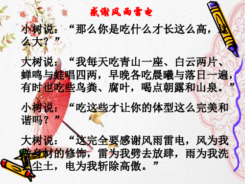 新版主题班会:阳光总在风雨后ppt2学习 PPT