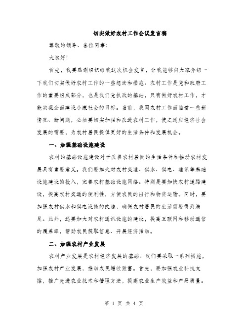 切实做好农村工作会议发言稿（二篇）