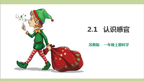 (新教材)苏教版一年级上册科学 2.1 认识感官 教学课件PPT