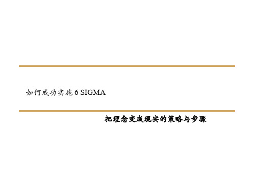 成功实施6SIGMA