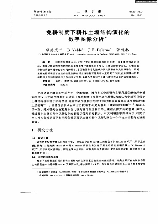 免耕制度下耕作土壤结构演化的数字图像分析