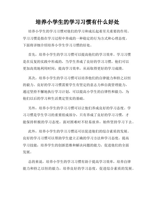 培养小学生的学习习惯有什么好处