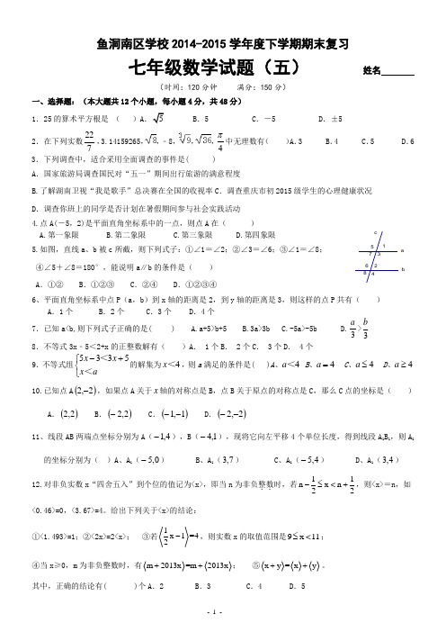 重庆市巴南区鱼洞南区学校2014-2015学年度下学期期末复习七年级数学试题(五)