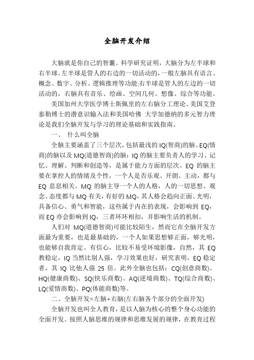 全脑开发介绍