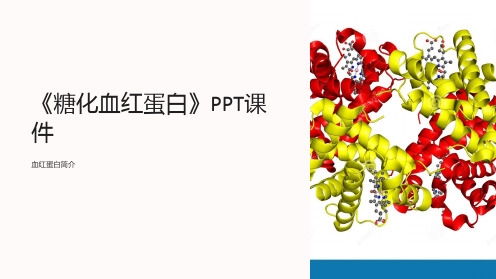 《糖化血红蛋白》课件