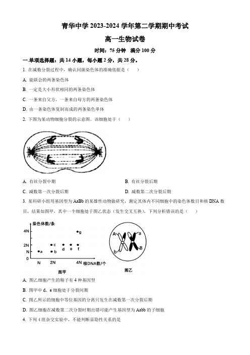 江苏省宿迁市青华中学2023-2024学年高一下学期期中考试生物试题(原卷版)