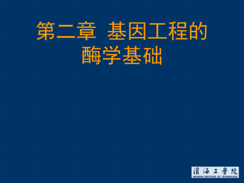 基因工程第2章 酶学基础(2DNA连接酶)