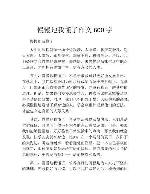 慢慢地我懂了作文600字