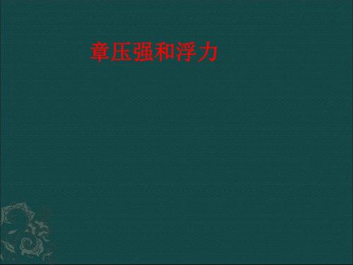《压强》教学课件23 人教版