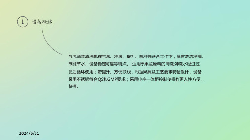 气泡蔬菜清洗机说明书