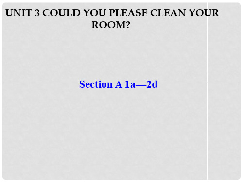 山东省肥城市王庄镇初级中学八年级英语下册 Unit 3 Could you please clean