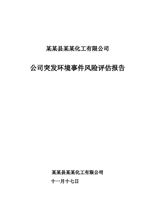 某某化工有限公司环境风险评估报告