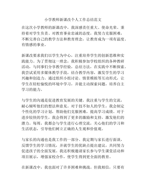 小学教师新课改个人工作总结范文