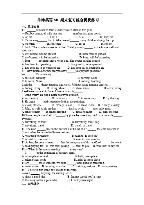 期末复习综合提优练习(含答案) 牛津译林版英语八年级下册