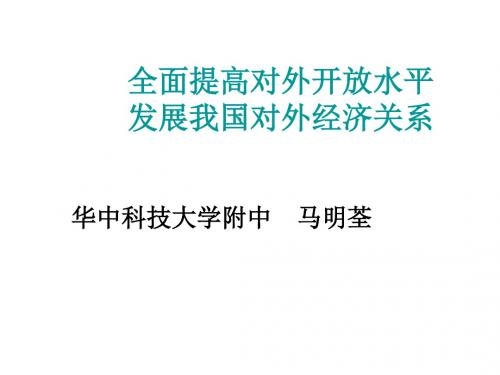 高考政治全面提高对外开放水平专题