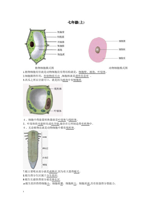 生地会考复习资料:初中生物图集(附题目)(人教版)