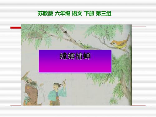 《螳螂捕蝉》PPT课件3