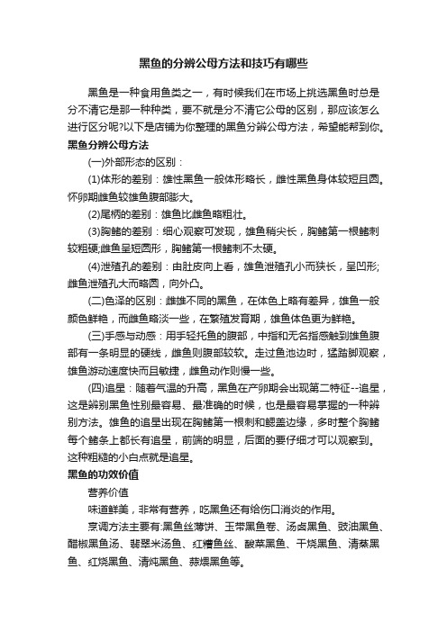 黑鱼的分辨公母方法和技巧有哪些