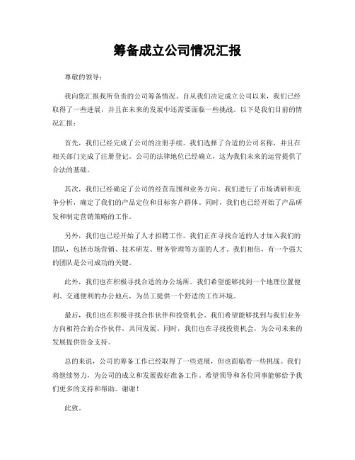 筹备成立公司情况汇报