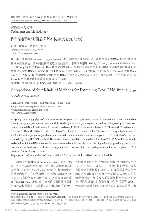 四种副溶血弧菌总RNA提取方法的比较