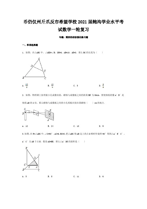 中考数学学业水平考试一轮复习 专题 图形的相似强化练习题试题