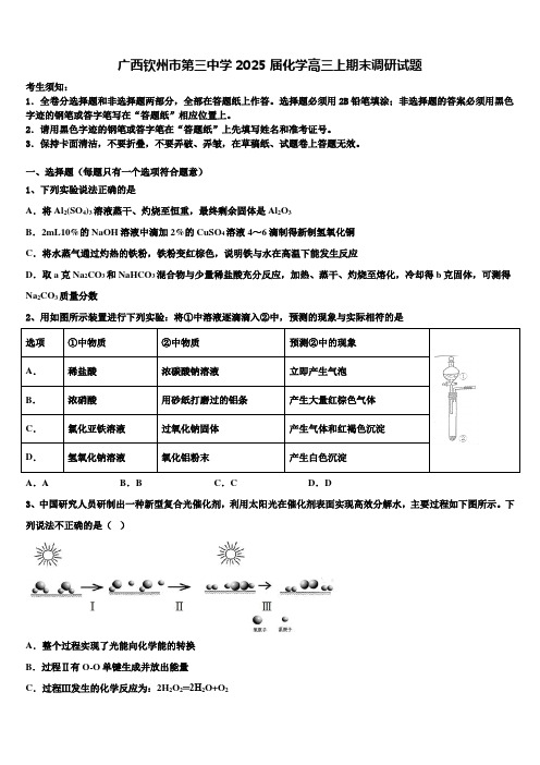 广西钦州市第三中学2025届化学高三上期末调研试题含解析