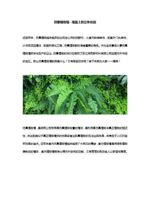 创意植物墙--墙面上的立体花园