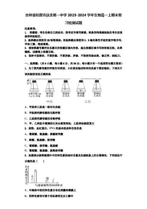 吉林省松原市扶余第一中学2023-2024学年生物高一上期末复习检测试题含解析