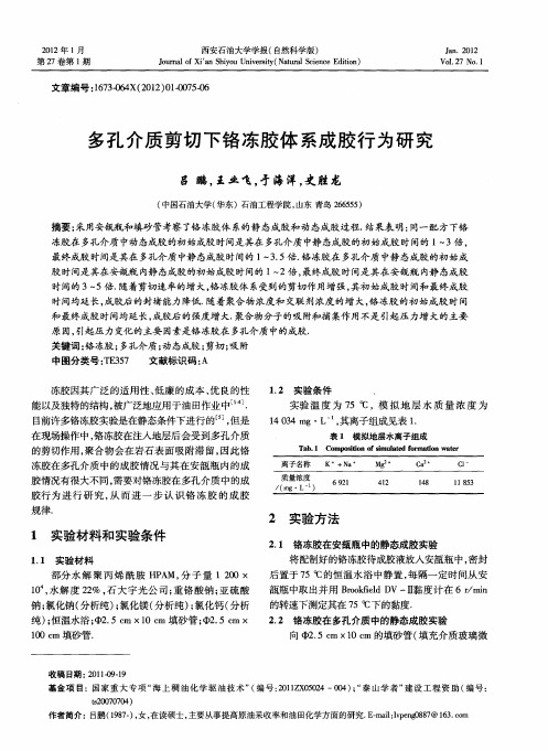 多孔介质剪切下铬冻胶体系成胶行为研究