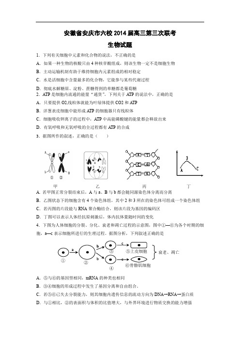 高三生物月考试题带答案-安徽省安庆市六校2014届高三第三次联考