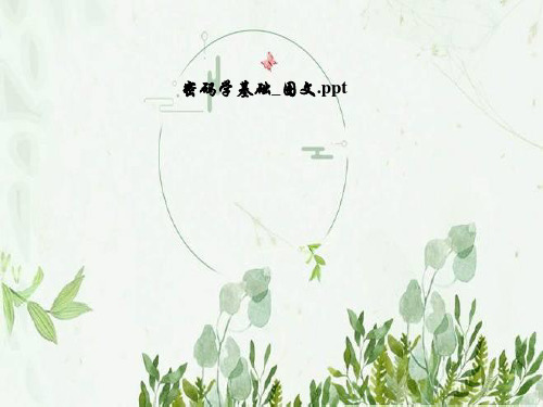 密码学基础_图文