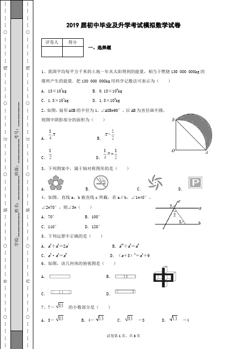 2019届初三九年级中考模拟试卷及参考答案带详细解析