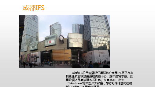 成都IFS市场调研报告