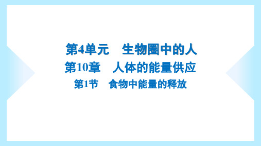 2023年北师大版七年级下册生物第10章人体的能量供应第1节食物中能量的释放