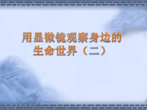 教科版科学六年级下册《用显微镜观察身边的生命世界(二)》教学课件