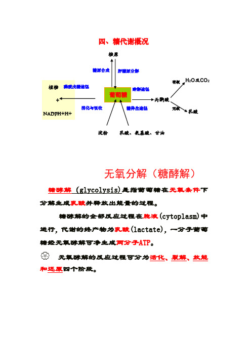 糖酵解特点