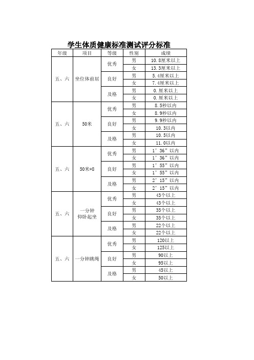 体质健康测试标准表