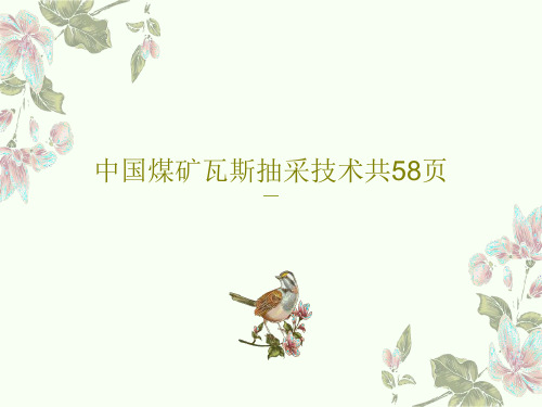 中国煤矿瓦斯抽采技术共58页PPT文档共60页