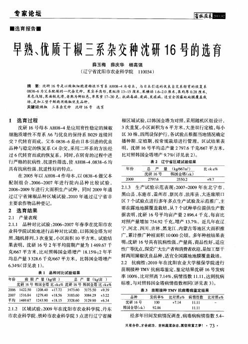 早熟、优质干椒三系杂交种沈研16号的选育