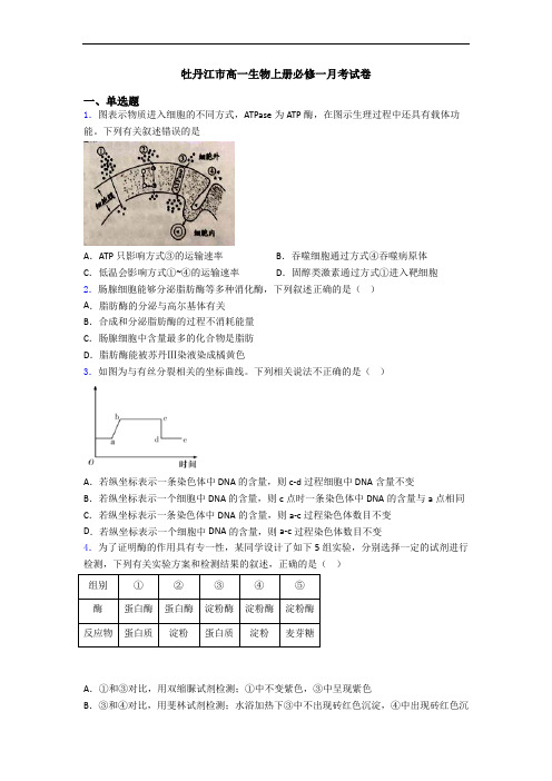 牡丹江市高一生物上册必修一月考试卷