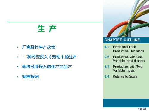 微观经济学(第八版)课件：生产